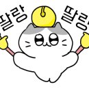 메이노브네일 - 동구 | 메이노브네일