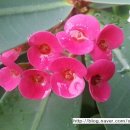 이천우의원 이미지