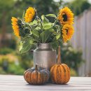 영어로 만나는 현대문화 이미지