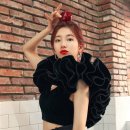 수지 이미지