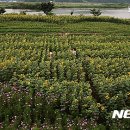 율곡면사무소 이미지