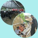 평산목장 이미지