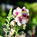 그룸그룸 이미지