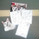 다기쁨카페 | 망원동 감성 카페 레코드시즌 내돈내산 방문 후기 분위기 좋은 카페