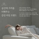 호텔데일리 | 호텔식 침대 프레임 고민 중이라면, 데일리리빙 드레스덴 후기 정리