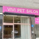 비비펫살롱 이미지