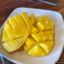 할로나J 이미지