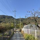 르미르몽 풀빌라 펜션 이미지