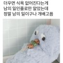 금단목장 | 스위치온 다이어트 1주차 후기