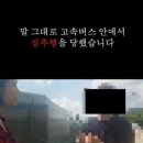 꽁지꽁지 스타뉴스
