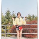 오하늬 카카오 검색결과