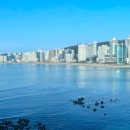 광안리 별밤 이미지