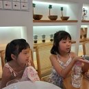 구룡약국 | [HONGKONG] 아이와 홍콩 여행 해열제 Nurofen for children 구매 / 홍콩 약국 / 홍콩 구룡공원 /