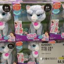 (주)캣프렌즈 이미지