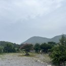 그곳에오리 | [영덕] 그곳에 오리 / 생오리구이 / 내돈내산 후기