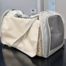 본 동물 건강검진영상센터 | 대구 수성구 동물병원 본동물메디컬센터24시수성점 노령묘 고양이 건강검진 후기