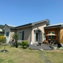 숲속댕토리애견유치원 이미지