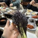 별별채소 이미지