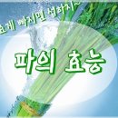 파