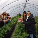 도라산농장 이미지