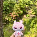 433 | [플레이브] 아스테룸 433-10 카페 후기
