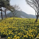 오이랜드 | 구례 지리산수라간 강된장비빔밥 후기, 수선화 지리산치즈랜드 나들이 코스