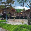 오토타운 이미지