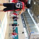 강남스포츠문화센터 대체육관 이미지