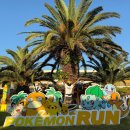 씨유제주건강관리협회점 | 즐거웠던 2025 포켓몬런 후기 및 제주 마라톤 정보