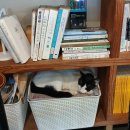 종기민박 이미지