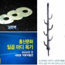 동방 대한의 뿌리 역사 문화, 홍산문화의 비밀 이미지