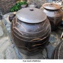 THE KOREAN FIT 이미지