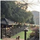 힐링애견샵 이미지