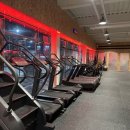 1994 Athlete 이미지