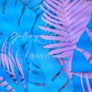 비비큐(BBQ)올리브치킨카페속초청초점 이미지