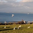 아드레이 이미지