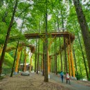 장태산휴양림 이미지