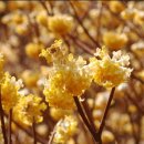 (주)동부약품 이미지