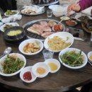 돈뭉치 Daum카페