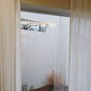 스테이그라피 이미지