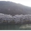 곡소 네이버블로그