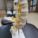 월곶한의원 이미지