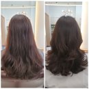 &lt;울산/남구/달동&gt; 달동미용실 레이어드컷&amp;빌드펌 잘하는곳 &#39;헤어바이주&#39; 방문후기