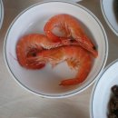 부산갈매기 횟집 Daum카페