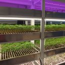 호정타워 이미지