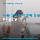 영양군립전문요양원 | 시흥 요양원 가성비 좋은 선택 천사요양원 합리적 비용과 상담 후기 살펴보기