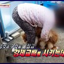재왕 농장 네이버블로그