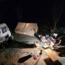 내를 건너서 숲으로 캠핑장 이미지