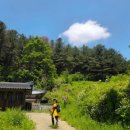 남노일리 금학산등산로입구 간이화장실 | [100대명산플러스챌린지] 수태극 조망 바라보며 백패킹 즐기는 금학산