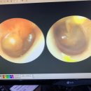 에코이비인후과의원 이미지